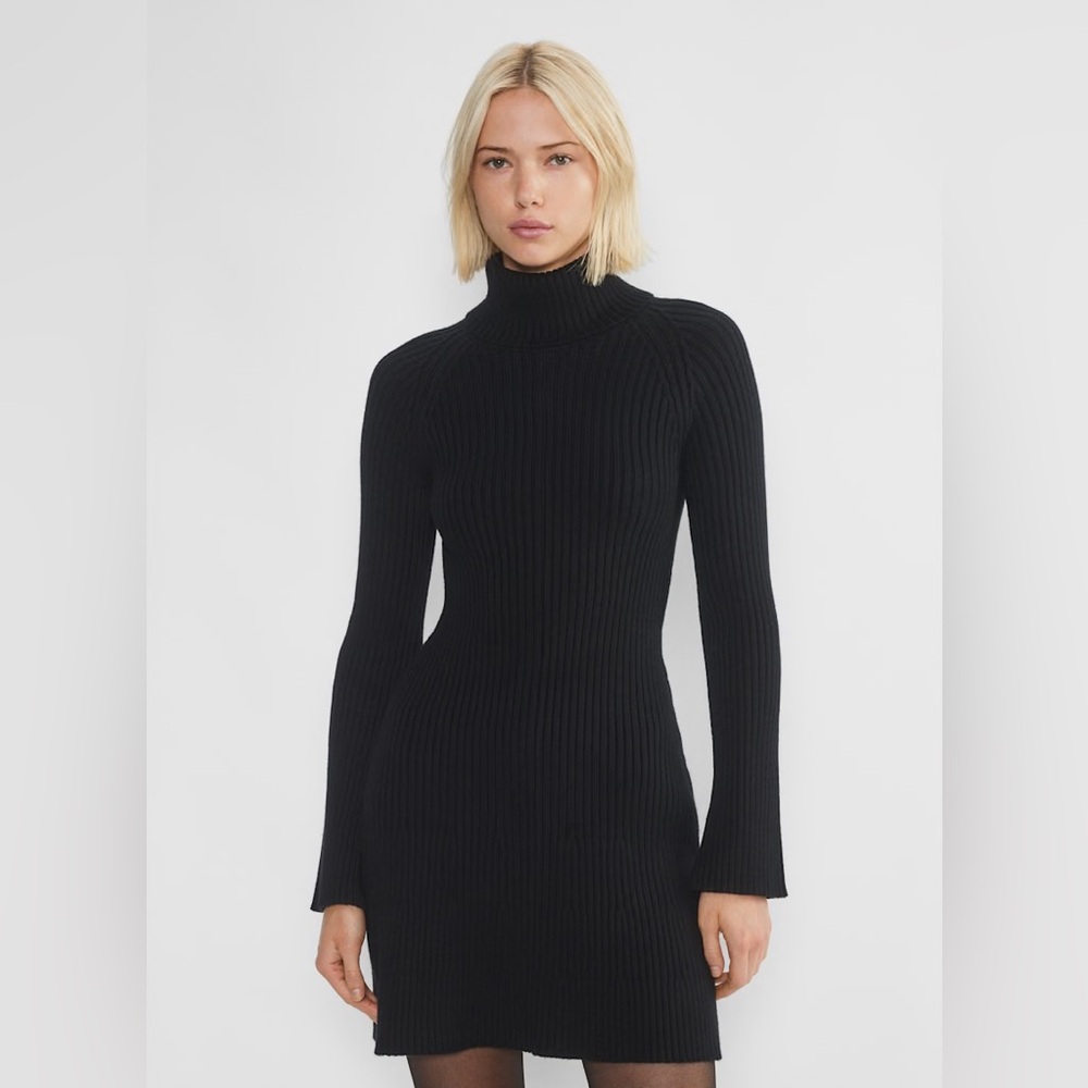 Aritzia Sunday Best Rhapsody Dress